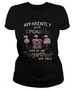 Apparently were trouble when we are together flamingo quilting ladies tee