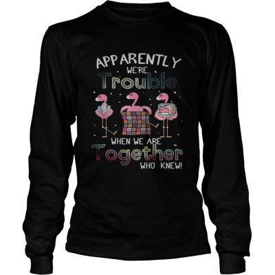 Apparently were trouble when we are together flamingo quilting longsleeve tee