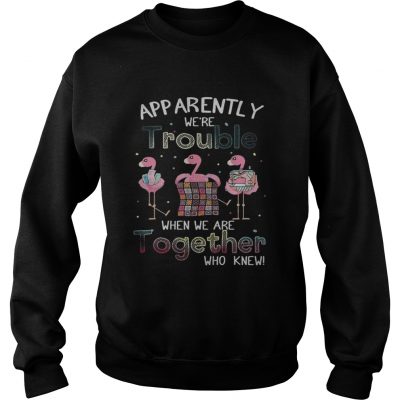 Apparently were trouble when we are together flamingo quilting sweatshirt