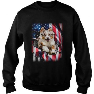 Australian Shepherd Aussie inside American flag sweatshirt