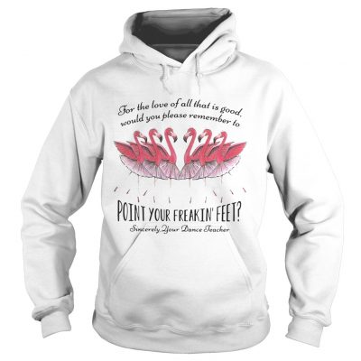 Ballet flamingo for the love of all that is good sincerely your dance teacher hoodie