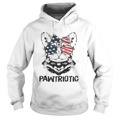 Cat with American flag sunglasses pawtriotic hoodie