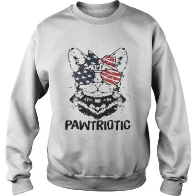 Cat with American flag sunglasses pawtriotic sweatshirt