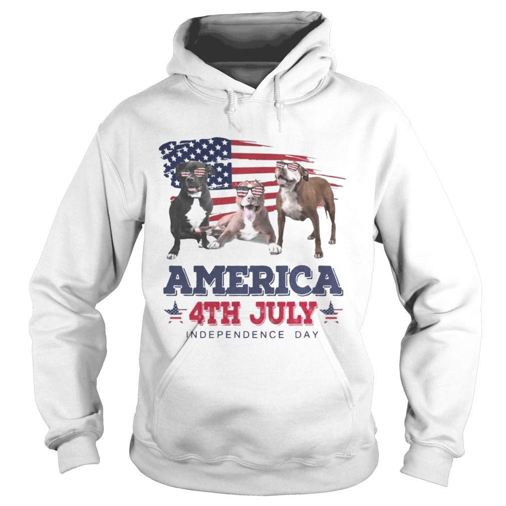 Cool Pit Bull America 4th July Independence Day T Hoodie