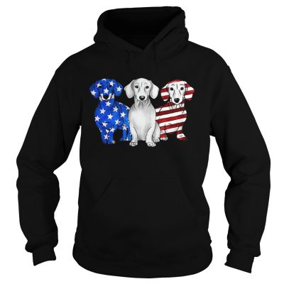 Dachshund American flag hoodie