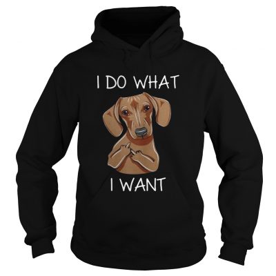 Dachshund I do what I want hoodie