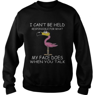 Flamingo I Cant Be Held Responsible For What My Face Does When You Talk Sweatshirt