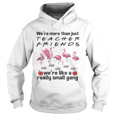 Flamingo Were more than just teacher friends were like a really small gang hoodie