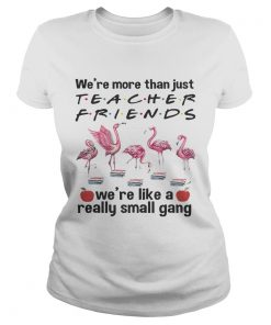 Flamingo Were more than just teacher friends were like a really small gang ladies tee