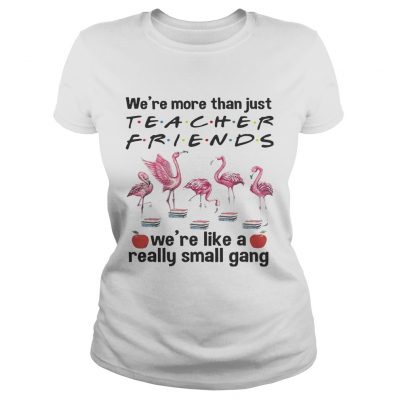 Flamingo Were more than just teacher friends were like a really small gang ladies tee