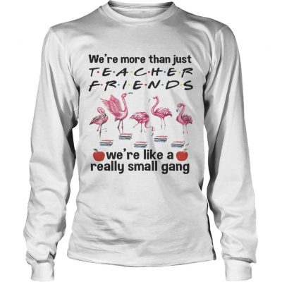 Flamingo Were more than just teacher friends were like a really small gang longsleeve tee