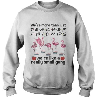 Flamingo Were more than just teacher friends were like a really small gang sweatshirt