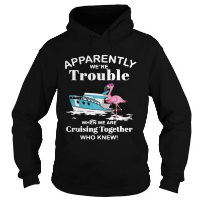 Flamingo apparently were trouble when we are cruising together who knew hoodie