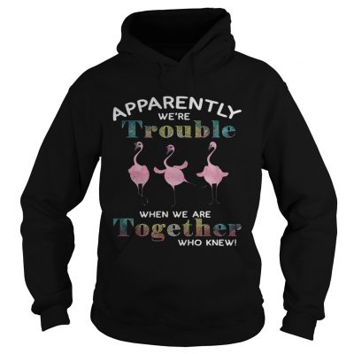 Flamingo apparently were trouble when we are together who knew hoodie