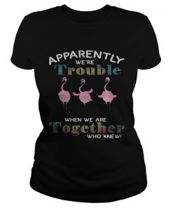 Flamingo apparently were trouble when we are together who knew ladies tee