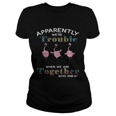 Flamingo apparently were trouble when we are together who knew ladies tee