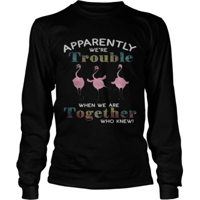 Flamingo apparently were trouble when we are together who knew longsleeve tee