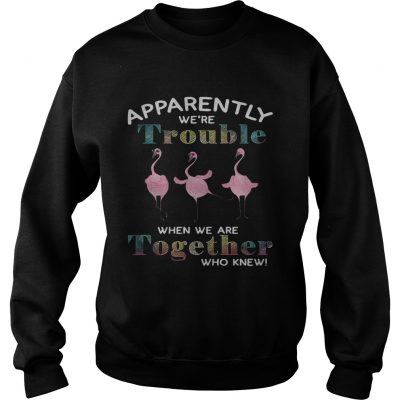 Flamingo apparently were trouble when we are together who knew sweatshirt