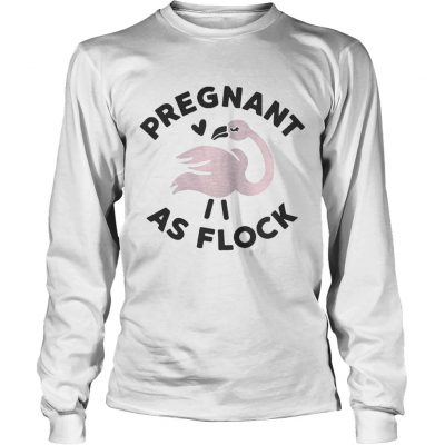 Flamingo pregnant as flock longsleeve tee