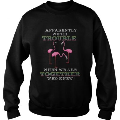 FlamingoApparently Were Trouble When We Are Together Sweatshirt