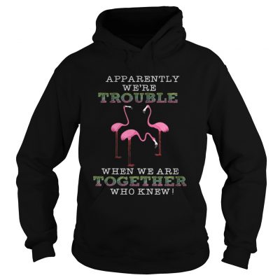 FlamingoApparently Were Trouble When We Are Together hoodie