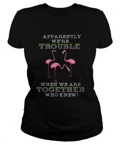 FlamingoApparently Were Trouble When We Are Together ladies tee