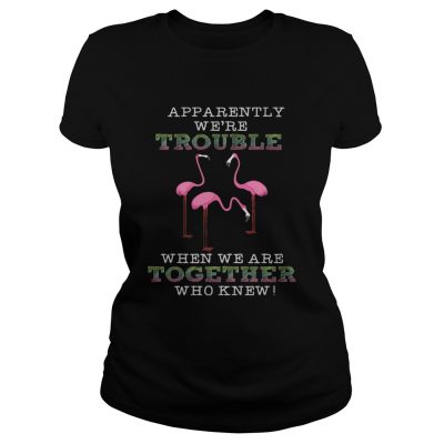 FlamingoApparently Were Trouble When We Are Together ladies tee