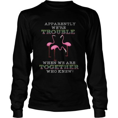 FlamingoApparently Were Trouble When We Are Together longsleeve tee