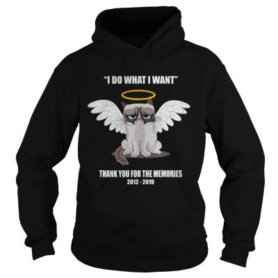 Grumpy cat i do what I want thank you for the memories hoodie