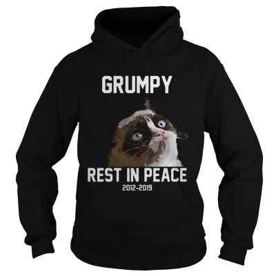 Grumpy cat rest in peace 2012 2019 hoodie