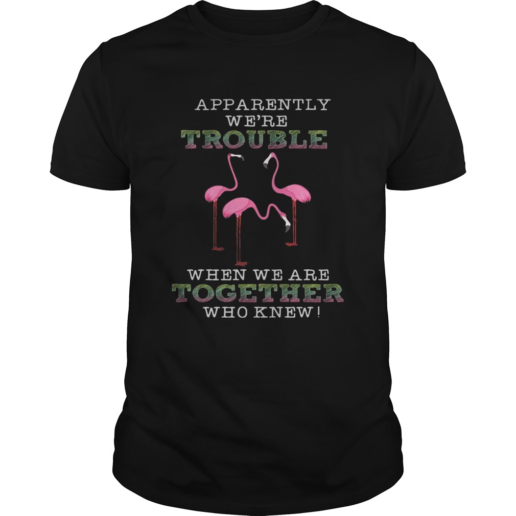 FlamingoApparently Were Trouble When We Are Together Shirt