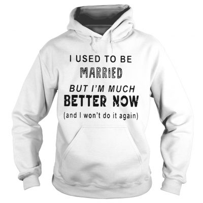 I used to be married but Im much better now and I wont do it again hoodie