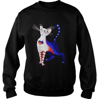 Independence Day Cat Flag America Sweatshirt