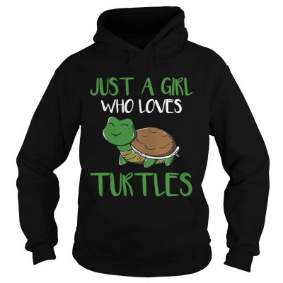 Just a girl who loves turtles hoodie