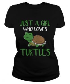 Just a girl who loves turtles ladies tee