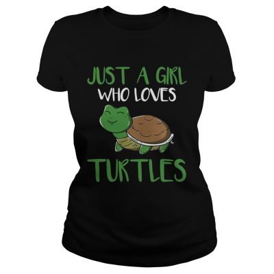 Just a girl who loves turtles ladies tee