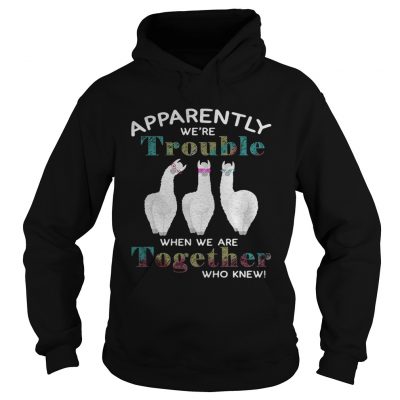 Llama apparently were trouble when we are together who knew hoodie