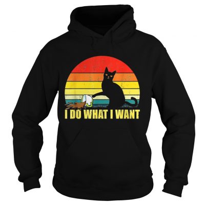 Official I do what I want Cat spilled coffee sunset hoodie