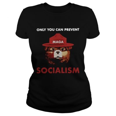 Only you can prevent socialism ladies tee