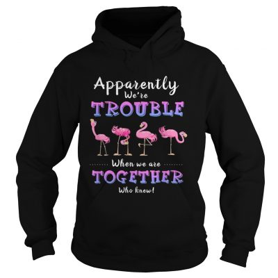 Original Apparently Were Trouble When We Are Together Flamingo hoodie