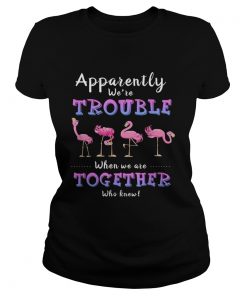 Original Apparently Were Trouble When We Are Together Flamingo ladies tee