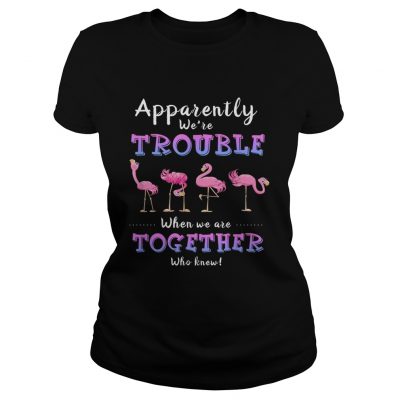 Original Apparently Were Trouble When We Are Together Flamingo ladies tee