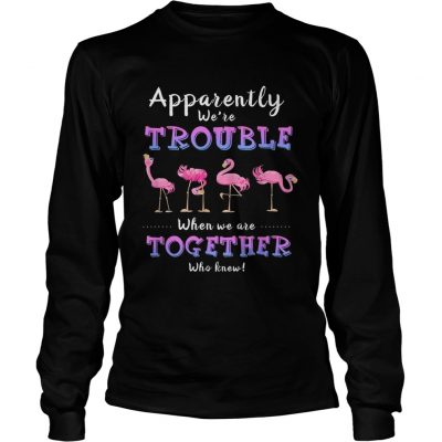 Original Apparently Were Trouble When We Are Together Flamingo longsleeve tee