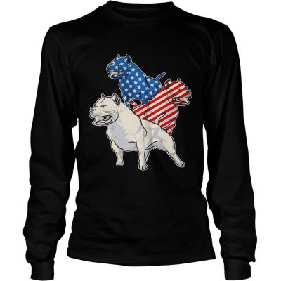 Pit Bull American Flag longsleeve tee