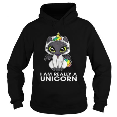 Toothless I am really a Unicorn hoodie