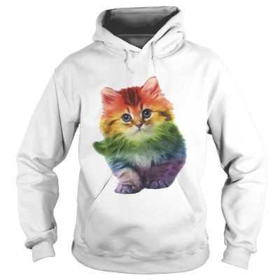 Rainbow Cat LGBT Pride Month hoodie