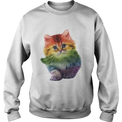 Rainbow Cat LGBT Pride Month sweatshirt