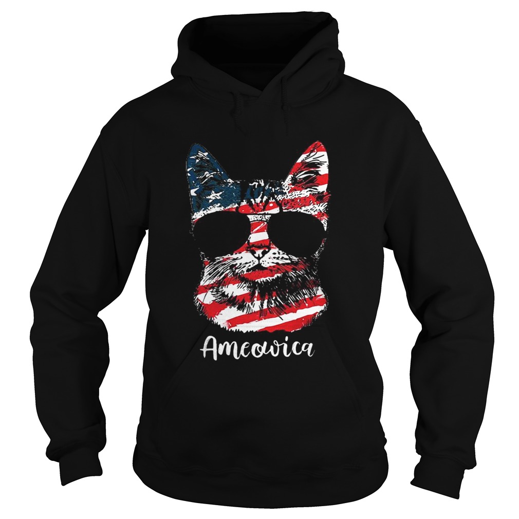 Ameowica 4th of July party meow cat American flag Hoodie