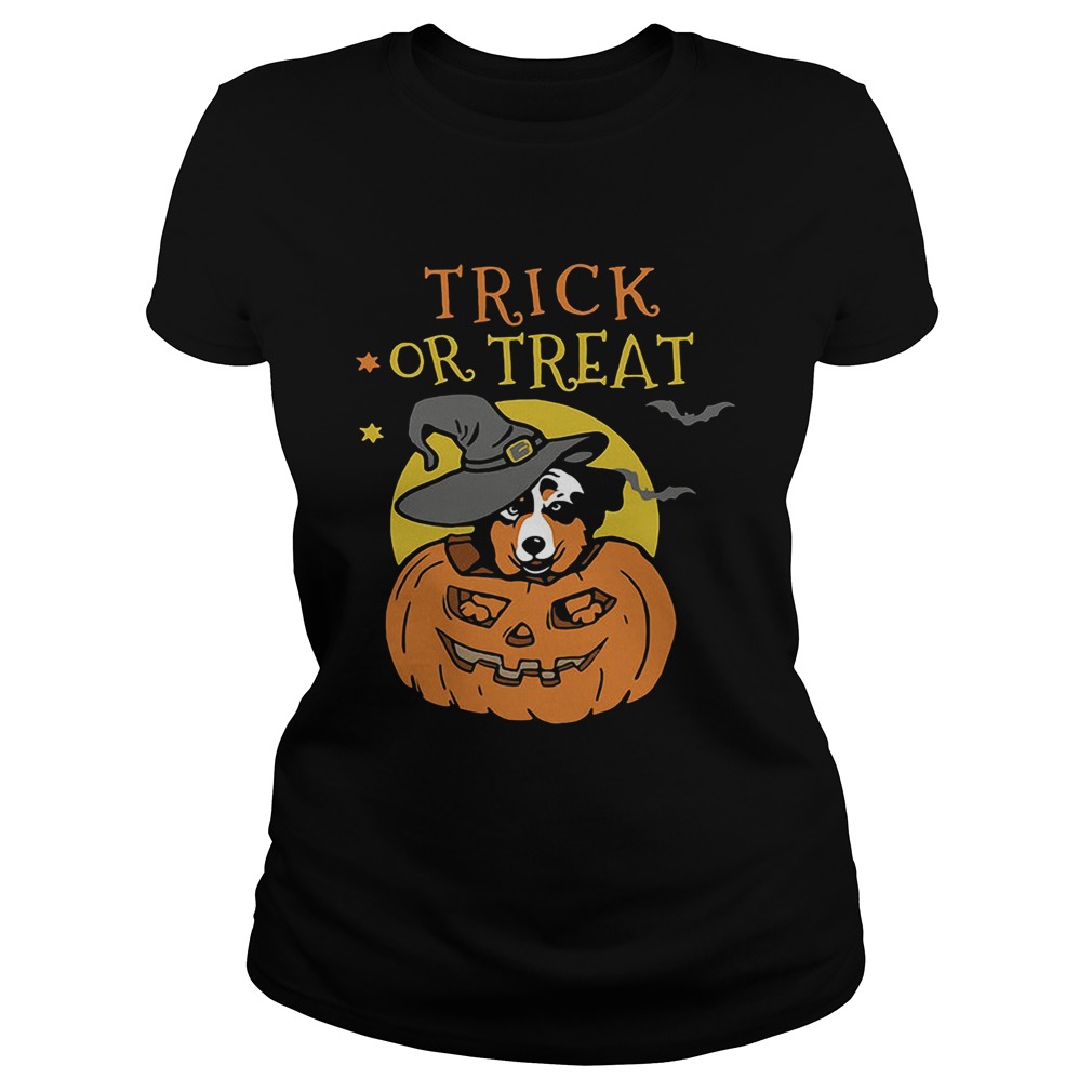 Australian Shepherd Halloween pumpkin trick or treat Classic Ladies