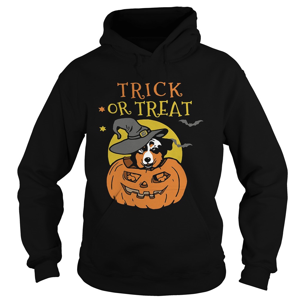 Australian Shepherd Halloween pumpkin trick or treat Hoodie